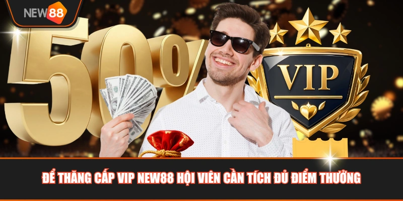Để thăng cấp VIP NEW88 hội viên cần tích đủ điểm thưởng