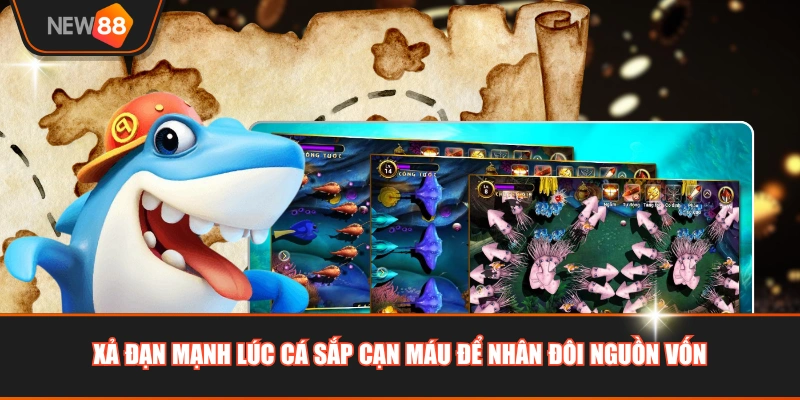 Xả đạn mạnh lúc cá sắp cạn máu để nhân đôi nguồn vốn